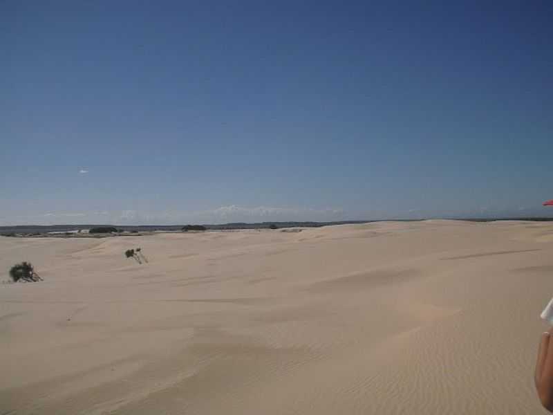 QUINTO-RS-DUNAS NA PRAIA DE SANTA RITA-FOTO:RUTTSCHEIDT - QUINTO - RS