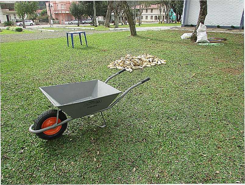 IMAGENS DA CIDADE DE RELVADO - RS - RELVADO - RS