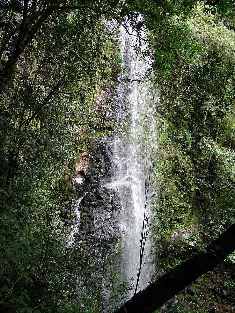 RINCO DO MEIO-RS-CACHOEIRA-FOTO:CLAITON NEISSE  - RINCO DO MEIO - RS