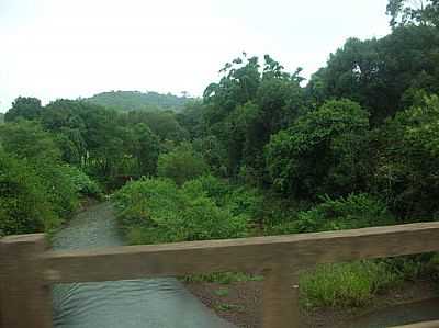 RIACHO-FOTO:ADAIL PEDROSO ROSA  - RIO DA ILHA - RS