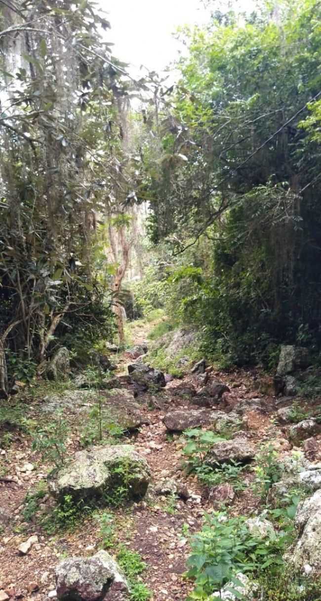TRILHA DO MONTE DA SANTA CRUZ, POR NICLEA - MAIRI - BA