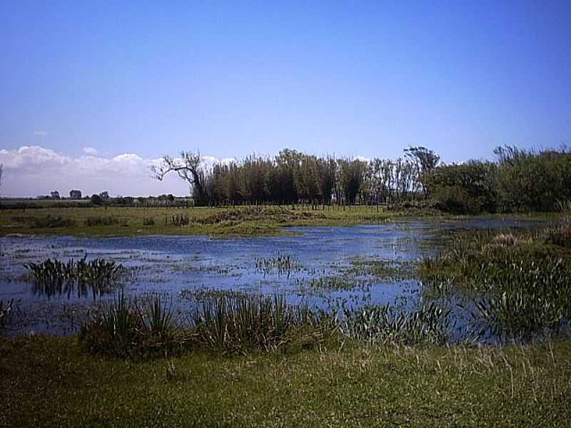 RIO GRANDE-RS-REGIO DOS BANHADOS-FOTO:UBIRAJARA BUDDIN CRUZ - RIO GRANDE - RS