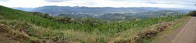 VALE DO ROLANTE-LICEO PIOVESAN - RIOZINHO - RS