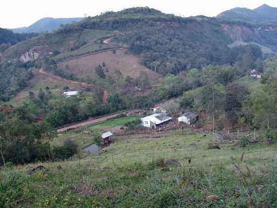 VISTA DA ESTRADA QUE LEVA PARA  CASCATA DA CHUVISQUEIRO, POR MARIA LOURDES ARNHOLD DA SILVA - RIOZINHO - RS