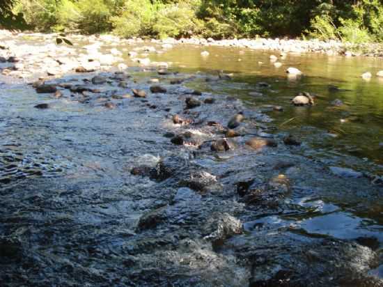 NATUREZA ENCANTADORA, POR FRANCISCO TADEU DA SILVA - RIOZINHO - RS