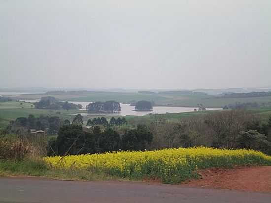 LAVOURA DE CANOLA E AO FUNDO A BARRAGEM EM RONDA ALTA-RS-FOTO:ELTONSTRADA - RONDA ALTA - RS