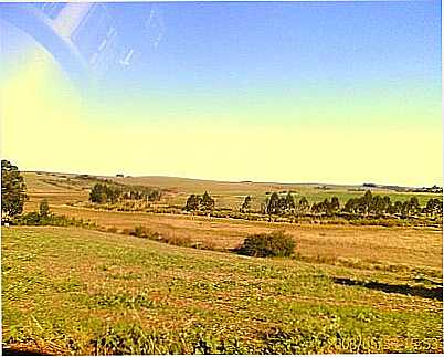 ESTRADA-ELTONSTRADA - RONDA ALTA - RS