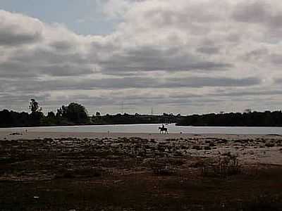 IMAGEM-FOTO:BITOMARIA - ROSRIO DO SUL - RS