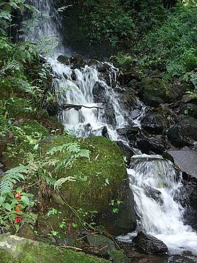 CASCATA DO BUEIRO-FOTO:REVERENDO_POA - SALVADOR DO SUL - RS