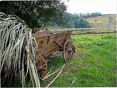 IMAGEM RURAL-FOTO:FABIANO M.  - SANANDUVA - RS