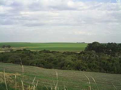 PAISAGEM-POR FLAVIO FERNANDES - SANTA BRBARA DO SUL - RS