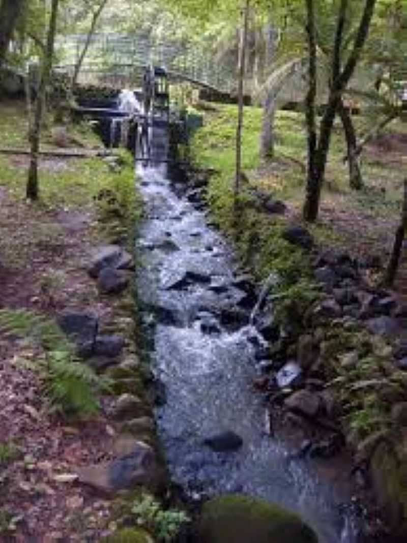 SANTA CRUZ DO SUL-RS-PARQUE DA GRUTA-FOTO:MAPIO.NET - SANTA CRUZ DO SUL - RS