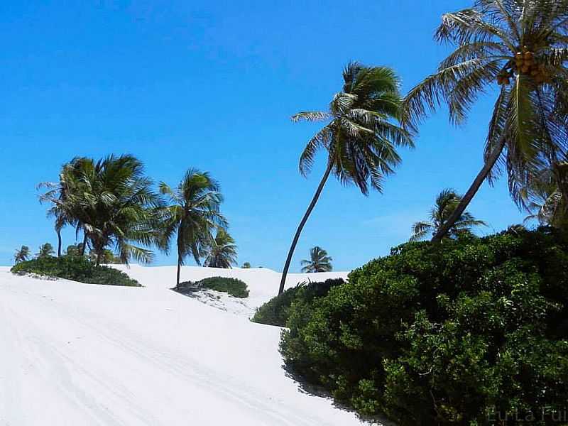 IMAGENS DA VILA DE PESCADORES MANGUE SECO - JANDAIRA - BA - MANGUE SECO - BA