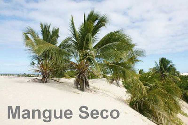 IMAGENS DA VILA DE PESCADORES MANGUE SECO - JANDAIRA - BA - MANGUE SECO - BA