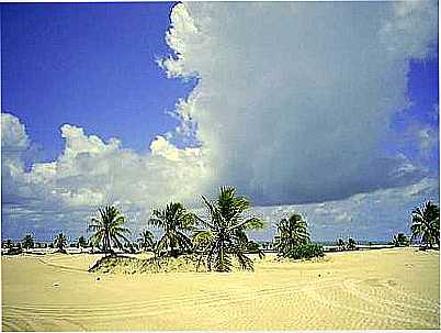 DUNAS DE MANGUE SECO, POR JOCINEIA.MENDES - MANGUE SECO - BA