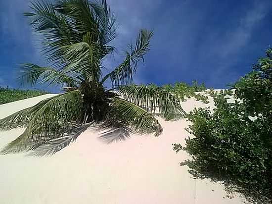 DUNAS EM MANGUE SECO-BA-FOTO:FLVIO DE QUEIROZ - MANGUE SECO - BA