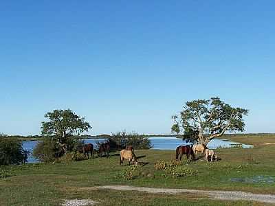 PAISAGEM-FOTO:PAULO ANGONESE  - SANTA IZABEL DO SUL - RS