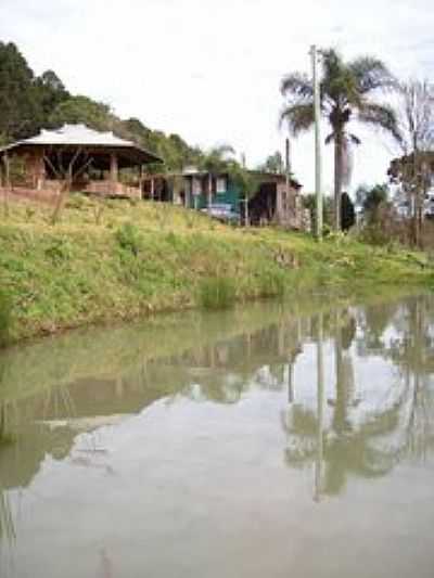 CHCARA DO CHIQUINHO-FOTO:AJBONATTO  - SANTA LCIA - RS