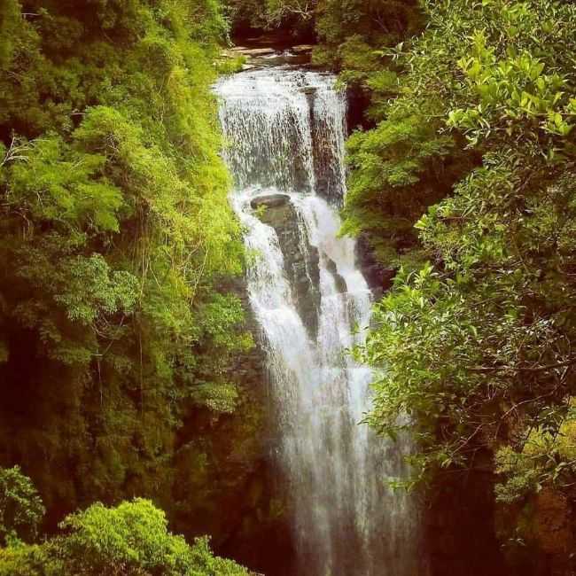 POR LUCAS MOLLING - SANTA MARIA DO HERVAL - RS