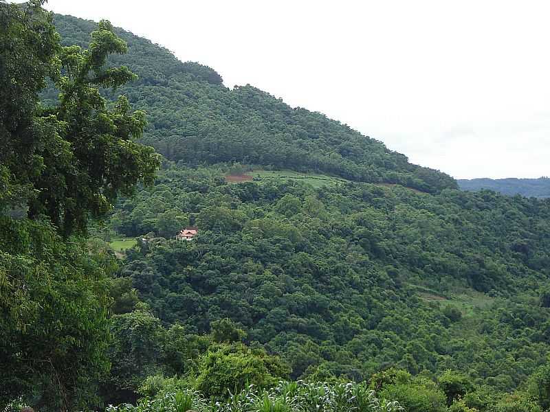 SANTA MARIA DO HERVAL-RS-REGIO DO DISTRITO DE MORRO DOS BUGRES-FOTO:BUCHERBERG - SANTA MARIA DO HERVAL - RS