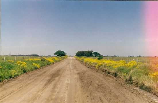 POR LUIS ROBERTO REINALDO TAVARES - SANTA RITA DO SUL - RS