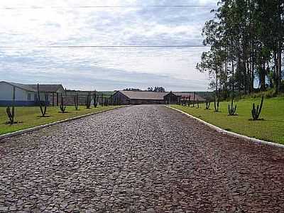 GRANJA SUINOSUL- MARIORDAN - SANTA ROSA - RS