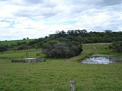 GRANJA-POR ERVANI SCHAFFER - SANTA TEREZA - RS
