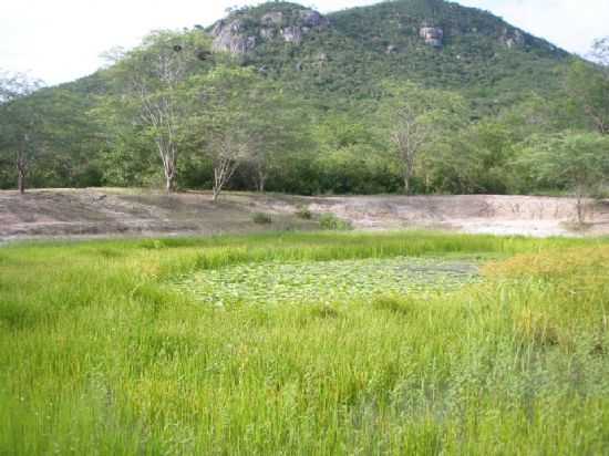 LAGOA DE HONRIO, POR LUCAS - MANOEL VITORINO - BA