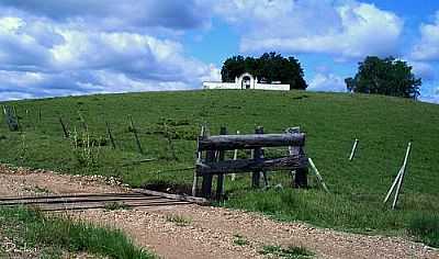 ENTRADA DA FAZENDA(MATA BURRO)-FOTO:DARLAN CORRAL  - SANTANA DA BOA VISTA - RS