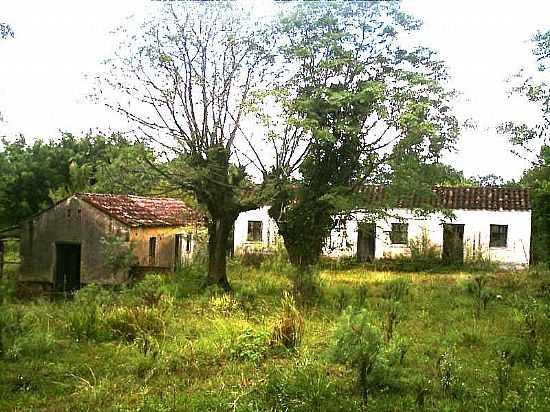 REA RURAL EM SANTANA DA BOA VISTA-RS-FOTO:ROQUE OLIVEIRA - SANTANA DA BOA VISTA - RS