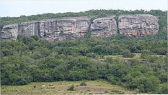 O PAMPA GACHO E O PAREDO EM SANTANA DA BOA VISTA-RS-FOTO:UBIRAJARA BUDDIN CRUZ - SANTANA DA BOA VISTA - RS