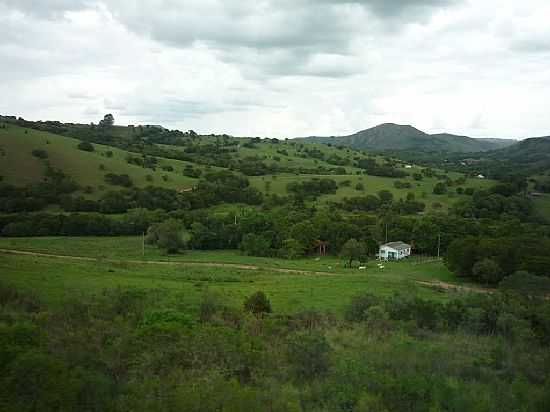 PAMPA GACHO EM SANTANA DA BOA VISTA-RS-FOTO:ROQUE OLIVEIRA - SANTANA DA BOA VISTA - RS