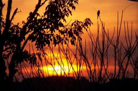 POR DO SOL EM SANTANA, POR KELEN - SANTANA DA BOA VISTA - RS