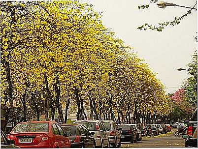 AV.BRASIL-DIETMAR HANKE - SANTO NGELO - RS