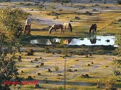 IMAGEM-FOTO:GERSON GERLOFF - SO BORJA - RS