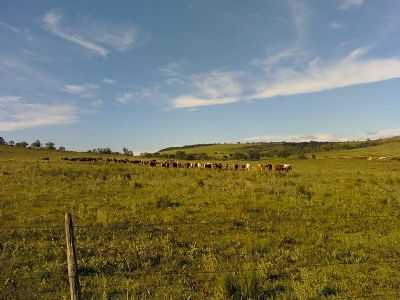 PANPA GAUCHO TCHE, POR AIRTON - SO FRANCISCO DE ASSIS - RS