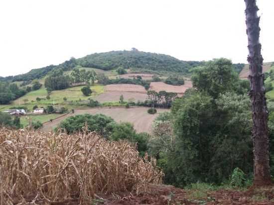 VISTA DO MORRO DA URTIGA ALTA, POR DIANA ANTONIAKI - SO JOO DA URTIGA - RS