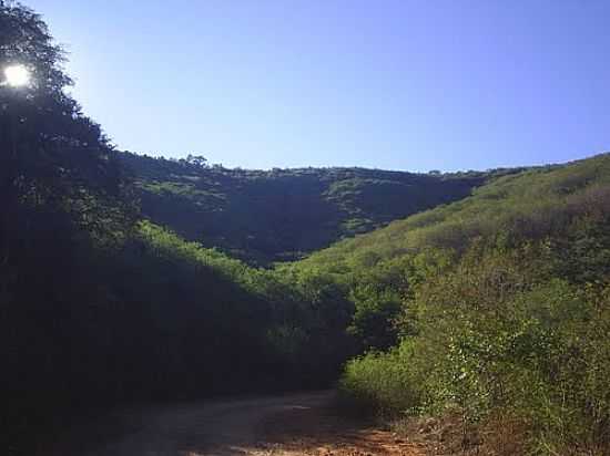 DESCIDA DA SERRA DE MARACS-BA-FOTO:EDVALDO GOIS - MARACS - BA