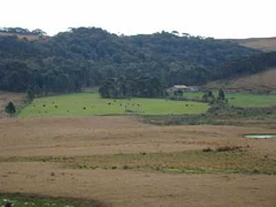 FAZENDA-FOTO:PCRAPAKI-TRAMANDA-R - SO JOS DOS AUSENTES - RS