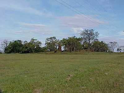 RUINAS JESUITAS-FOTO:SERNEIVA  - SO LOURENO DAS MISSES - RS