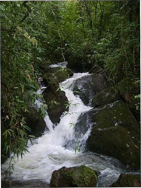 CASCATA LINHA BABILNIA - SO PEDRO DA SERRA - RS