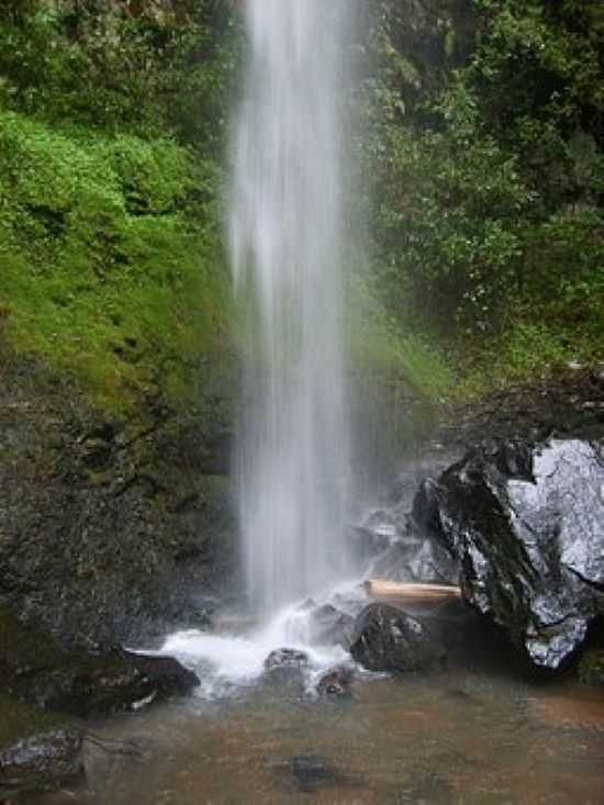 CASCATA LINHA BABILNIA - SO PEDRO DA SERRA - RS