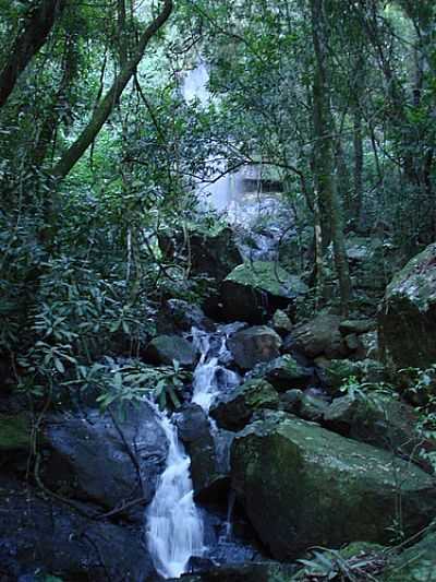 CASCATA VILA RICA-FOTO:LUCAS INCIO SCHMITZ  - SO PEDRO DA SERRA - RS