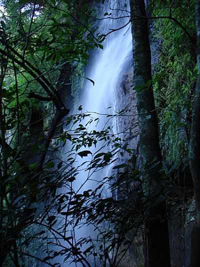 CASCATA VILA RICA-FOTO:LUCAS INCIO SCHMITZ  - SO PEDRO DA SERRA - RS