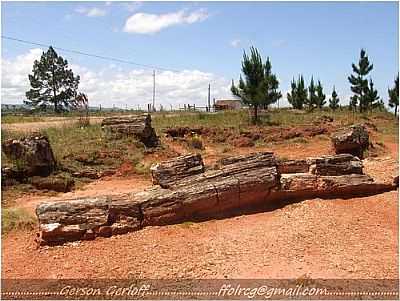 FSSEIS-FOTO:GERSON GERLOFF  - SO PEDRO DO SUL - RS