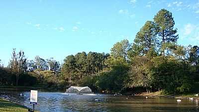 LAGO NO PARQUE ZOOLGICO-FOTO:HENRIQUE DE BORBA  - SAPUCAIA DO SUL - RS