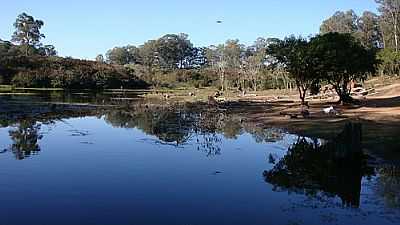 LAGO NO PARQUE ZOOLGICO-FOTO:HENRIQUE DE BORBA - SAPUCAIA DO SUL - RS