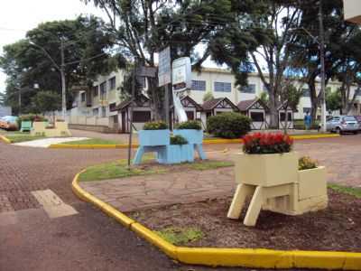 FLOREIRAS NA RUA JOO XXIII, POR SADY AFONSO JUNGES - SELBACH - RS