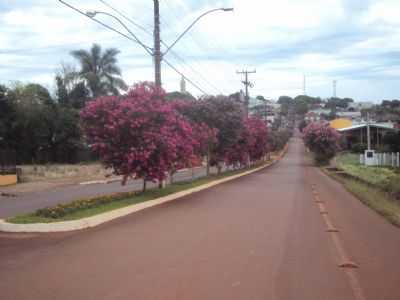 ARBORIZAO FLORSTICA NA AVENIDA JACU, POR SADY AFONSO JUNGES - SELBACH - RS