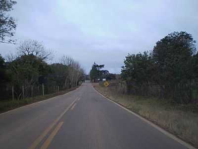 RODOVIA-FOTO:MARCELO PARISE PETAZ  - SERAFINA CORRA - RS